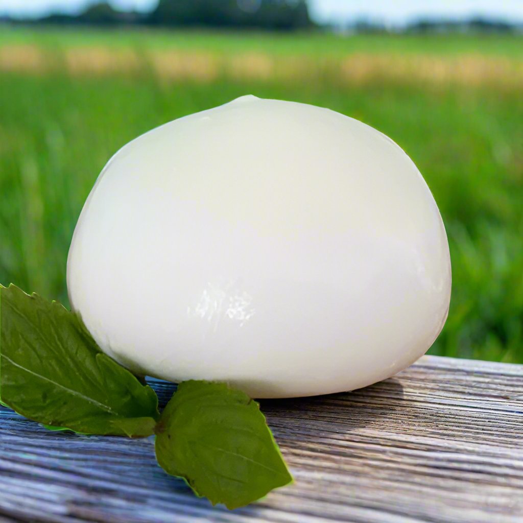 Fresh Mozzarella - Gioia