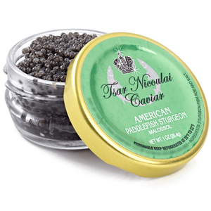 Caviar ~ Paddlefish